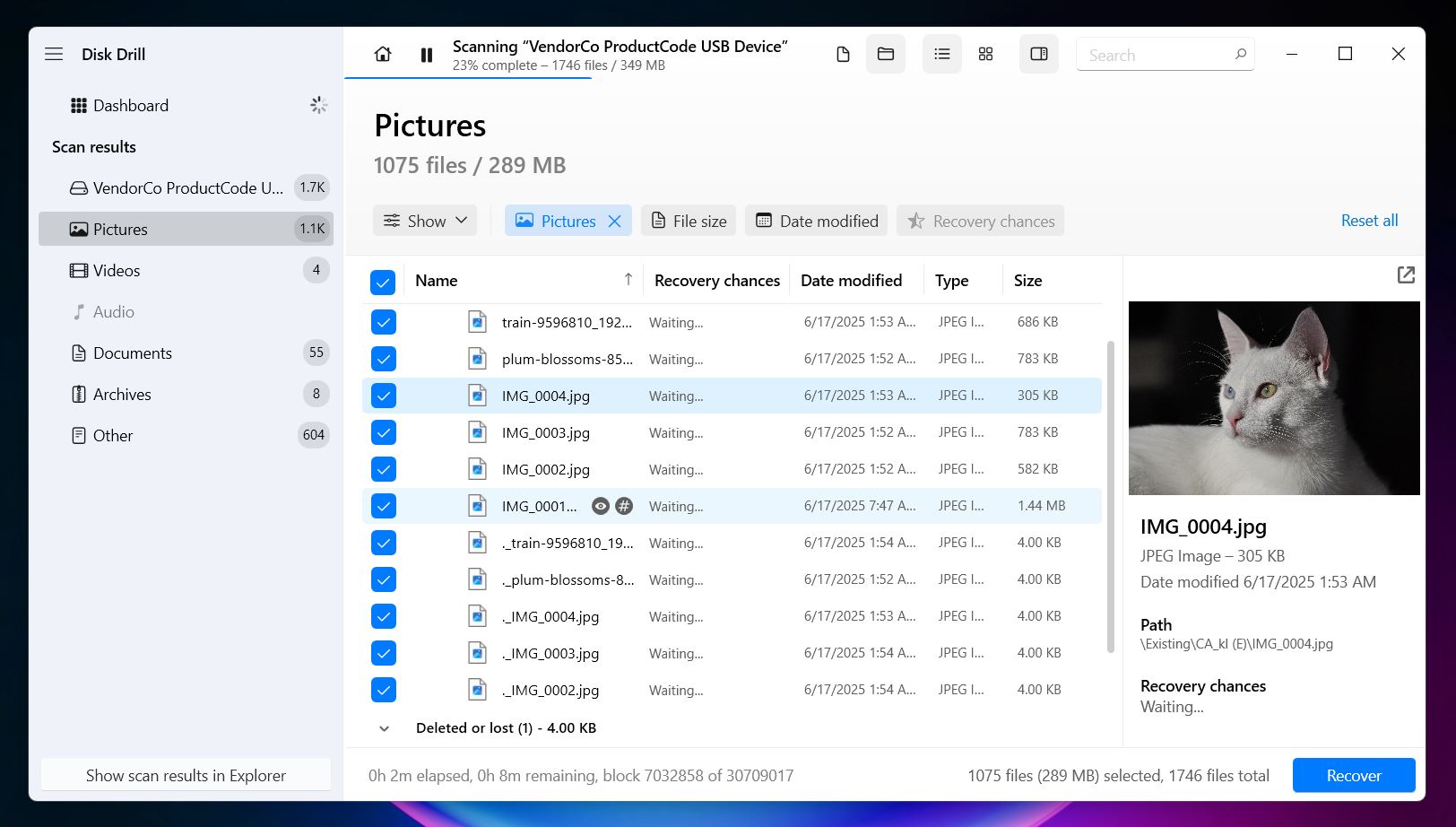 Disk Drill lets you preview photos and videos